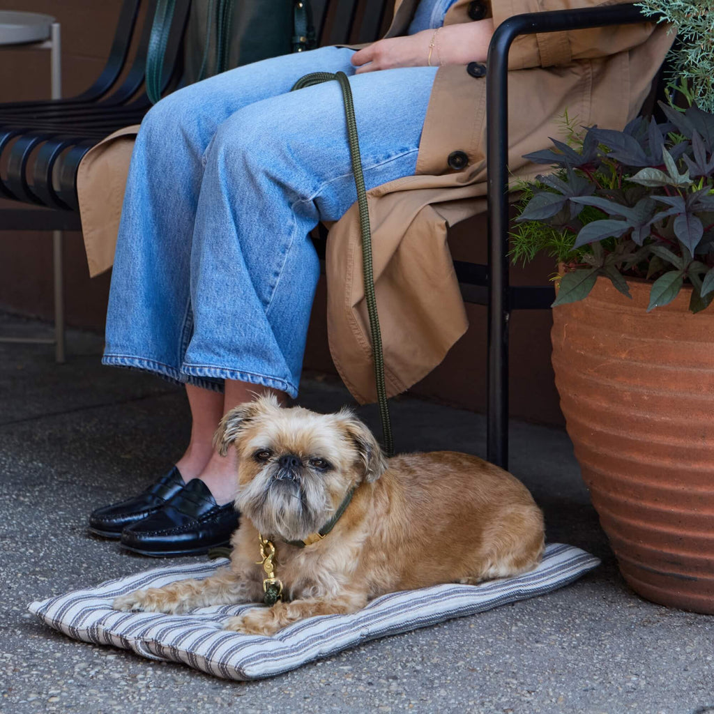 Ticking Stripe Bolster Dog Bed