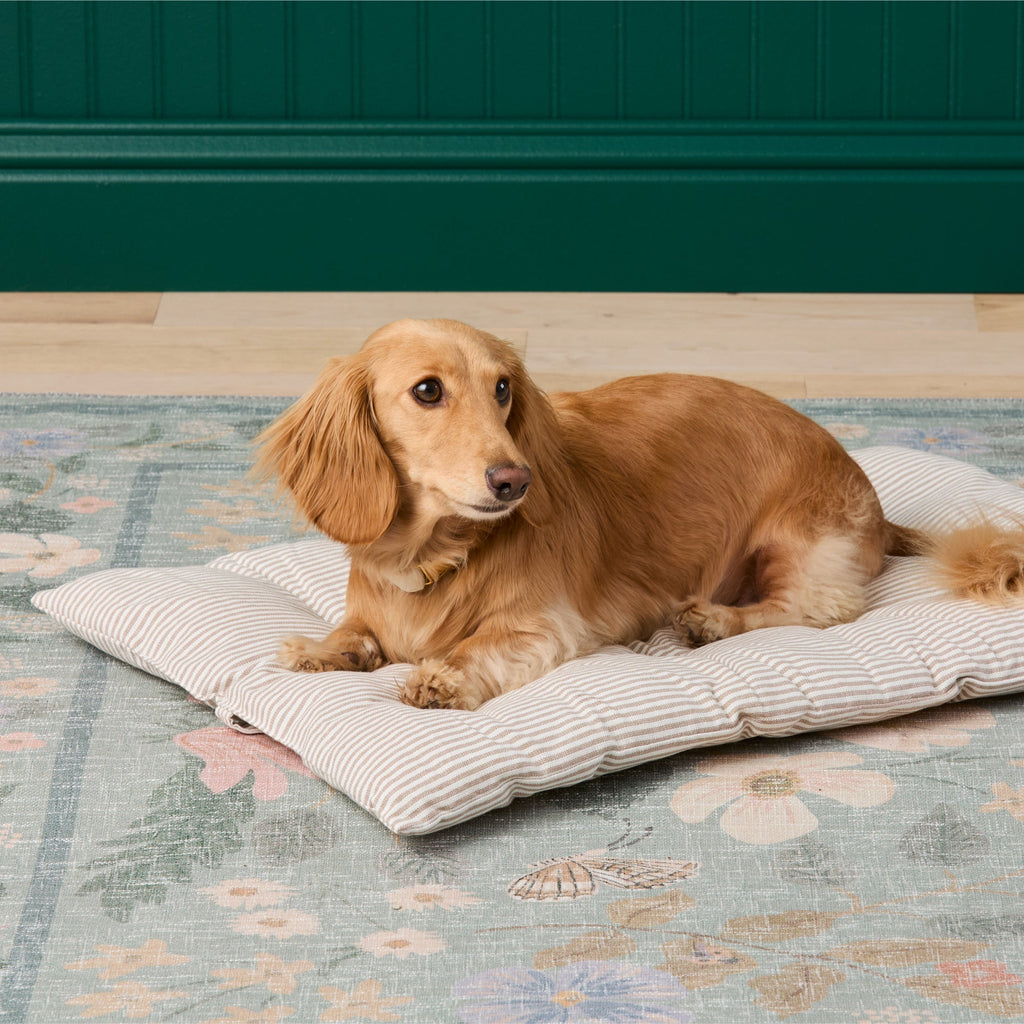 Mushroom Brown Stripe Bolster Dog Bed