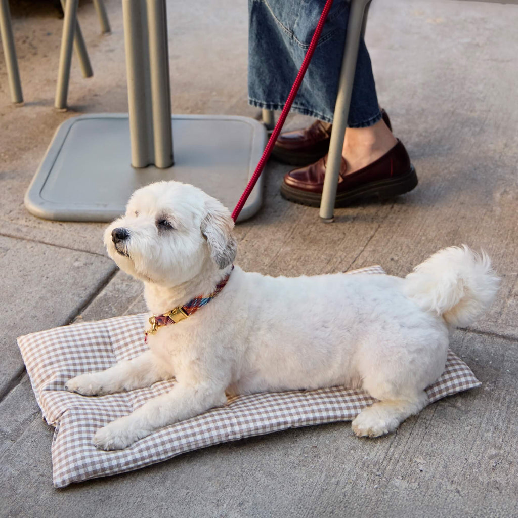 Mushroom Brown Gingham Bolster Dog Bed