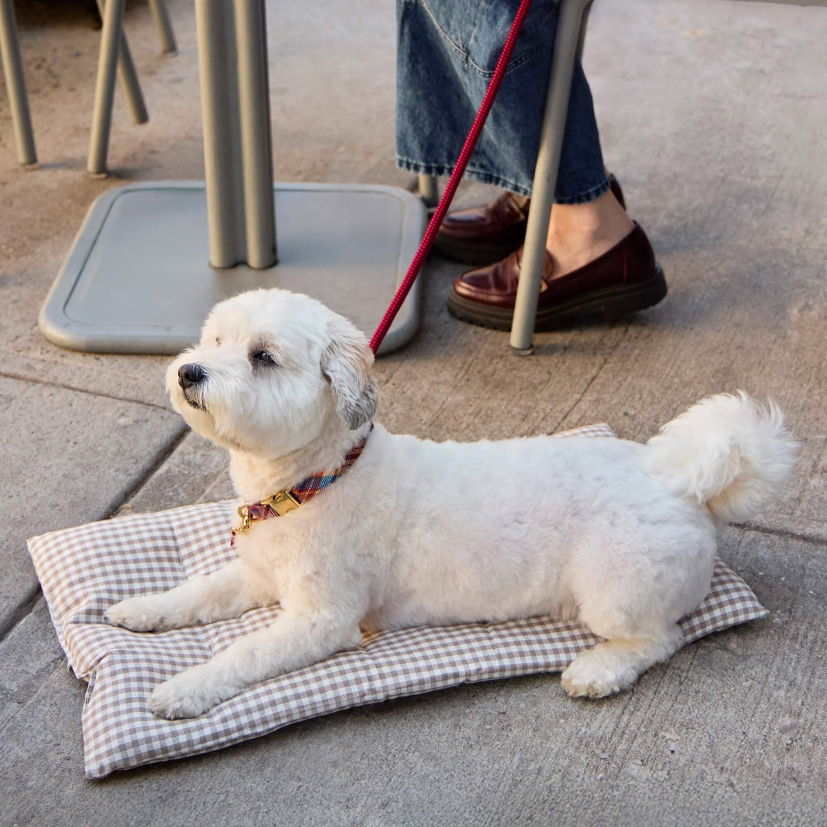 Mushroom Brown Gingham Bolster Dog Bed